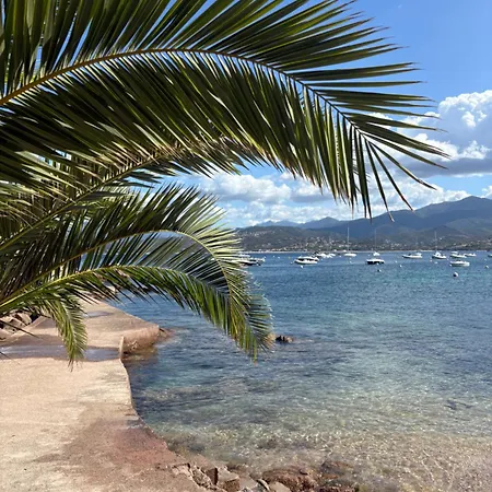 T3 - 100m Du Port * Propriano (Corsica)