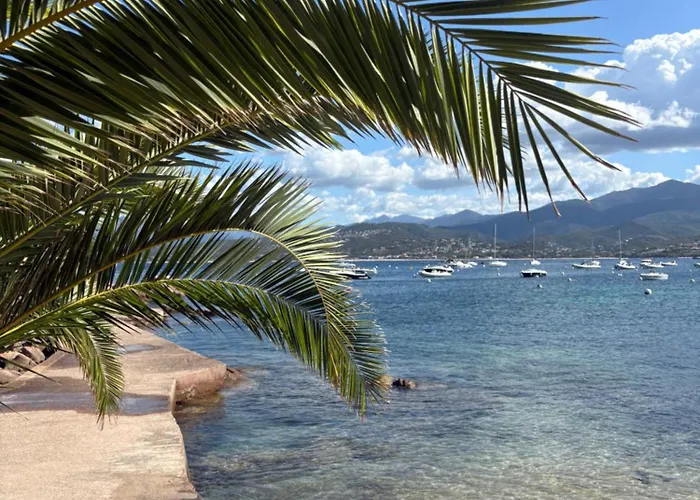 T3 - 100m Du Port * Propriano (Corsica)